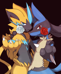 Rule 34 | arm around waist, arm on another&#039;s shoulder, black background, blue eyes, claws, creatures (company), enohito, flower, flower in mouth, game freak, gen 4 pokemon, gen 7 pokemon, highres, legendary pokemon, looking at viewer, lucario, mythical pokemon, nintendo, pokemon, pokemon (creature), red eyes, red flower, red rose, rose, simple background, upper body, white flower, white rose, zeraora