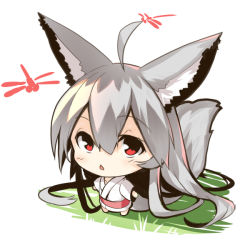 Rule 34 | 1girl, absurdly long hair, ahoge, animal, animal ears, barefoot, big head, bug, chibi, dragonfly, fox ears, fox girl, fox tail, from above, grey hair, hair between eyes, insect, japanese clothes, kimono, long hair, long sleeves, looking at viewer, looking up, original, red eyes, solo, standing, tail, tail raised, very long hair, white kimono, wide sleeves, yuuji (yukimimi)