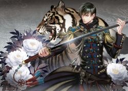 Rule 34 | 10s, 1boy, aiguillette, animal, badge, black eyes, black hair, closed mouth, coat, cowboy shot, epaulettes, floral background, flower, holding, holding sword, holding weapon, long sleeves, looking to the side, male focus, military, military uniform, pants, plant, shinoda masafumi, solo, sword, tassel, tiger, uniform, weapon, white flower, wolfina, world trigger