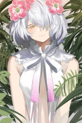 Rule 34 | 1girl, bare shoulders, blush, closed mouth, colored eyelashes, eyelashes, flower, hair between eyes, hair flower, hair ornament, hair over one eye, highres, isshiki (ffmania7), kudou chitose, lips, looking at viewer, nijisanji, open clothes, pink flower, plant, ribbon, short hair, sketch, sleeveless, smile, solo, upper body, virtual youtuber, wavy hair, white hair, yellow eyes