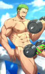 Rule 34 | 1boy, abs, absurdres, bar censor, bara, bulge, censored, cloud, completely nude, day, dumbbell, erection, exercising, green hair, highres, kuroshinki, large pectorals, male focus, muscular, muscular male, navel, nipples, nude, one eye closed, one piece, outdoors, paid reward available, pectorals, penis, roronoa zoro, scar, scar across eye, scar on chest, scar on face, short hair, sky, solo, testicles, weightlifting