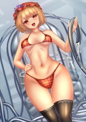 Rule 34 | 1girl, :d, aki minoriko, bikini, black thighhighs, blonde hair, breasts, cleavage, food, fruit, grapes, groin, hair ornament, hand on own hip, hat, highres, holding, holding hose, hose, long sleeves, looking at viewer, medium breasts, mob cap, navel, open mouth, plaid, plaid bikini, red bikini, red eyes, red hat, short hair, shounen (hogehoge), smile, solo, standing, swimsuit, thighhighs, touhou, water, x hair ornament