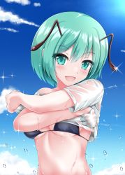 Rule 34 | 1girl, absurdres, antennae, bikini, black bikini, blue sky, blush, breasts, clothes lift, cloud, commentary request, day, green eyes, green hair, highres, looking at viewer, medium breasts, muki (munikichan), open mouth, outdoors, shirt, shirt lift, short hair, sky, smile, solo, sparkle, swimsuit, touhou, underboob, upper body, water drop, wet, wet clothes, wet shirt, white shirt, wriggle nightbug