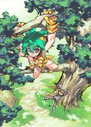 Rule 34 | 1girl, animal ears, animal print, bell, neck bell, cham cham, collar, gloves, green hair, in tree, jingle bell, paw shoes, purple eyes, samurai spirits, shirou, shoes, snk, solo, tail, tiger print, tree
