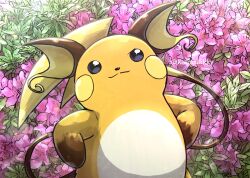 closed_mouth commentary_request creatures_(company) day flower game_freak gen_1_pokemon hands_on_own_hips kotobukkii_(yt_lvlv) looking_up nintendo no_humans outdoors pokemon pokemon_(creature) pokemon_focus raichu smile solo split_mouth twitter_username watermark