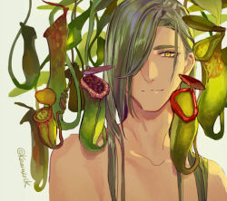 Rule 34 | 1boy, green hair, hair behind ear, hair down, hair over one eye, light smile, long hair, looking at viewer, male focus, nikkari aoe, pitcher plant, plant, pota (bluegutty), simple background, slit pupils, smile, solo, topless male, touken ranbu, twitter username, upper body, white background, yellow eyes
