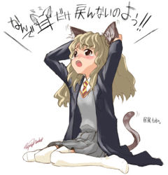 Rule 34 | animal ears, brown hair, cat ears, cat tail, flat chest, harry potter (series), harry potter and the chamber of secrets, hermione granger, long hair, lowres, necktie, pleated skirt, school uniform, serafuku, shirt, skirt, solo, tail, tears, thighhighs, translation request, uniform, white shirt, white thighhighs, wizarding world