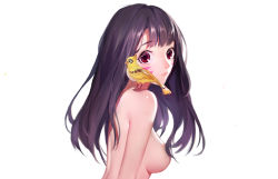 Rule 34 | absurdres, alternate eye color, animal, animal on shoulder, back, bare shoulders, bird, bird on shoulder, breasts, brown hair, closed mouth, completely nude, d.va (overwatch), eyebrows, eyelashes, facepaint, facial mark, from side, ganymede (overwatch), highres, lips, long hair, looking at viewer, medium breasts, nose, nude, overwatch, overwatch 1, pink lips, red eyes, sideboob, simple background, upper body, whisker markings, white background, yangzhi shi