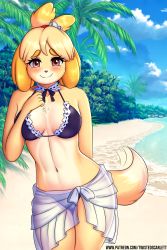 Rule 34 | 1girl, absurdres, afterimage, animal crossing, animal ears, artist name, beach, bell, bikini, black bikini, blonde hair, blue sky, blush, breasts, brown eyes, closed mouth, cloud, collarbone, day, dog ears, dog girl, dog tail, female focus, furry, furry female, hair bell, hair ornament, hair tie, hand on own chest, hand up, happy, highres, isabelle (animal crossing), jingle bell, legs together, looking at viewer, medium breasts, navel, nintendo, ocean, outdoors, palm tree, patreon username, sand, sarong, see-through, short hair, sky, smile, solo, standing, swimsuit, tail, tail wagging, topknot, tree, twistedscarlett60, water, watermark, web address, white sarong