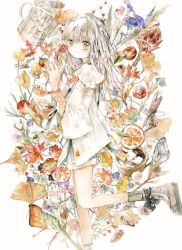 Rule 34 | 1girl, boots, brown eyes, brown hair, cup, flower, food, fruit, highres, kazuka, kettle, leaf, long hair, looking at viewer, looking to the side, original, painting (medium), shirt, shorts, solo, teacup, traditional media, watercolor (medium), white background, white shirt, wide sleeves