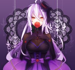 Rule 34 | 1girl, ahoge, black dress, black gloves, bridal gauntlets, dress, flower, gloves, gothic purple (module), hair between eyes, hands on own chest, hat, highres, holding, holding flower, light blush, long hair, looking at viewer, matcha (higashiya0401), mini hat, mini top hat, project diva (series), purple background, red eyes, red flower, red rose, ribbon, rose, solo, standing, top hat, very long hair, vocaloid, white hair, yowane haku