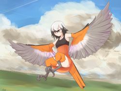 Rule 34 | 1girl, bird legs, black hair, cloud, day, dress, feathered wings, female focus, flying, harpy, highres, jewelry, monster girl, multicolored hair, necklace, original, outdoors, smith.s, solo, white hair, winged arms, wings
