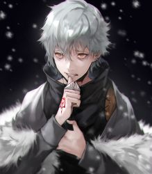 Rule 34 | 1boy, anastasia (fate), biting, cape, close-up, coat, command spell, fate/grand order, fate (series), fur coat, hand on own chest, holding, kadoc zemlupus, long sleeves, looking to the side, male focus, nail biting, silver hair, snowing, solo, upper body, yellow eyes, yoshio (55level)