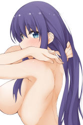Rule 34 | 10s, 1girl, back, blue eyes, blush, breasts, hinata masaki, horie ao, large breasts, long hair, looking at viewer, looking back, midara na ao-chan wa benkyou ga dekinai, nude, out-of-frame censoring, purple hair, simple background, solo, upper body, white background