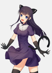 Rule 34 | 1girl, :d, anarchojs, animal ears, black gloves, black hair, black thighhighs, blue eyes, blunt bangs, cat ears, cat tail, cowboy shot, dress, elbow gloves, gloves, grey background, highres, hime cut, long hair, looking at viewer, open mouth, purple dress, short dress, short sleeves, sidelocks, simple background, smile, solo, standing, tail, thighhighs, working!!, yamada aoi