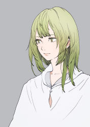 Rule 34 | 1other, androgynous, chakoro, enkidu (fate), fate/grand order, fate/strange fake, fate (series), green eyes, green hair, grey background, light green hair, robe, short hair, simple background, solo, toga, upper body, white robe