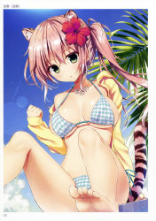 Rule 34 | 1girl, absurdres, animal ears, artist name, barefoot, bikini, blue sky, breasts, breasts apart, checkered bikini, checkered clothes, cloud, day, feet, flower, green eyes, hibiscus, highres, jacket, jewelry, long hair, long sleeves, necklace, non-web source, off shoulder, open clothes, open jacket, original, outdoors, pink hair, scan, side ponytail, sitting, sky, soles, solo, swimsuit, tail, tiger tail, toes, toranoana
