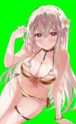Rule 34 | 1girl, absurdres, arm support, bare arms, bare shoulders, beach, bikini, blurry, breasts, brown choker, choker, cleavage, closed mouth, commission, flower, front-tie bikini top, front-tie top, green background, grey hair, hair flower, hair ornament, halterneck, hand up, highres, lace, lace-trimmed bikini, lace trim, large breasts, long hair, looking at viewer, motsunuki, multi-strapped bikini, navel, o-ring, o-ring bikini, original, red eyes, side-tie bikini bottom, simple background, skeb commission, smile, solo, stomach, string bikini, swimsuit, thigh gap, thigh strap, thighs, virtual youtuber, wristband