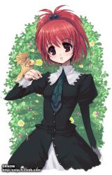 Rule 34 | 00s, 1girl, animal, aoi nagisa, artist request, bird, bird on hand, black dress, blush, brown eyes, bush, buttons, dress, female focus, flower, green necktie, high collar, juliet sleeves, lace, long sleeves, necktie, outdoors, parted lips, plant, ponytail, puffy sleeves, red hair, school uniform, short hair, solo, source request, strawberry panic!, watermark, web address
