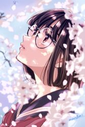 Rule 34 | 1girl, artist name, black-framed eyewear, black sailor collar, blurry, branch, brown eyes, brown hair, cherry blossoms, commentary request, day, depth of field, falling petals, flower, from side, glasses, looking up, neckerchief, original, outdoors, parted lips, petals, red neckerchief, round eyewear, sailor collar, school uniform, serafuku, short hair, signature, solo, sugano manami, upper body, white flower