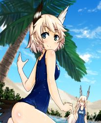 Rule 34 | 2girls, :&gt;, animal ears, berkut, blonde hair, blue eyes, desert, hanna-justina marseille, head wings, highres, long hair, multiple girls, musical note, oasis, one-piece swimsuit, palm tree, quaver, raisa pottgen, school swimsuit, short hair, signature, splashing, spoken musical note, strike witches, swimsuit, tail, tree, water, wings, witches of africa, world witches series