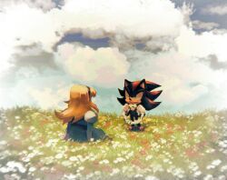 Rule 34 | 1boy, 1girl, 9474s0ul, animal ears, animal nose, blonde hair, blue dress, closed mouth, cloud, commentary, day, dress, english commentary, field, flower, flower field, flower wreath, furry, furry male, gloves, holding, holding wreath, long hair, looking at another, maria robotnik, outdoors, shadow the hedgehog, shoes, sitting, smile, sonic (series), standing, white gloves