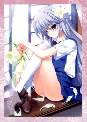 Rule 34 | absurdres, flower, frontwing, fumio (ura fmo), grisaia (series), highres, kazami kazuki, looking at viewer, official art, tagme
