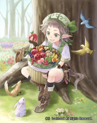 Rule 34 | 10s, 1boy, :d, against tree, animal, apple, banana, bandana, basket, beret, bird, black gloves, black socks, boots, brown hair, buckle, cardfight!! vanguard, cherry, company name, cross-laced footwear, day, elf, fingerless gloves, flipped hair, flower, flying, food, food-themed ornament, forest, fruit, fruit basket elf, fruits basket elf, full body, gloves, grapes, grass, green eyes, grey hair, hair tubes, happy, hat, holding, kneehighs, knife, leaf, long hair, long pointy ears, looking down, low ponytail, male focus, nature, neo nectar, official art, open mouth, outdoors, pear, pointy ears, ponytail, rabbit, sheath, sheathed, shirt, short sleeves, shorts, sidelocks, sitting, smile, socks, solo, squirrel, tadokoro teppei, tree, very long hair, vest, watermark