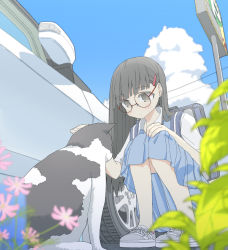 Rule 34 | 1girl, animal, backpack, bag, black hair, blue skirt, blue sky, blurry, blurry foreground, blush, brown eyes, car, cat, closed mouth, cloud, collared shirt, commentary request, day, depth of field, flower, glasses, grey footwear, hair ornament, hairclip, highres, knees up, long hair, motor vehicle, original, outdoors, petting, pink flower, pleated skirt, power lines, red-framed eyewear, round eyewear, shirt, shoes, short sleeves, sign, skirt, sky, smile, solo, squatting, usui harusame, very long hair, white shirt