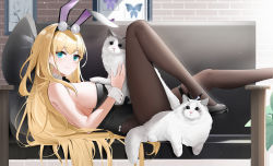 Rule 34 | 1girl, animal, animal ears, azur lane, black bow, black bowtie, black leotard, blonde hair, blue eyes, bow, bowtie, breasts, cat, couch, cuff links, fake animal ears, high heels, highres, holding, holding animal, knee up, large breasts, leotard, looking at viewer, lying, north carolina (azur lane), north carolina (the heart&#039;s desire) (azur lane), official alternate costume, on back, on couch, pantyhose, playboy bunny, qing wu, rabbit ears, strapless, strapless leotard, wrist cuffs