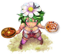 Rule 34 | 1girl, boots, breasts, bug, butterfly, cake, cleavage, crazy eyes, flower, food, from above, fruit, green eyes, green hair, hair flower, hair ornament, insect, matching hair/eyes, pastry, pixiv fantasia, pixiv fantasia 3, plate, shibairo, short hair, solo, steak, strawberry, thighhighs, tongue