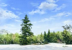 Rule 34 | bare tree, blue sky, cloud, cloudy sky, day, forest, grass, highres, hosoi mikio, house, nature, no humans, original, outdoors, painting (medium), scenery, shack, sky, snow, traditional media, tree, watercolor (medium), winter