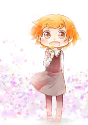 Rule 34 | 1girl, :d, bad id, bad pixiv id, black pantyhose, brown eyes, flower, hinata yuu, holding, looking at viewer, mary janes, open mouth, orange hair, original, pantyhose, shoes, short hair, smile, solo, wind