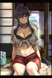 Rule 34 | 1girl, artist name, black bra, bottle, bra, brown cat, cat, closed mouth, commentary request, day, front-tie top, hair between eyes, hair ornament, hair scrunchie, highres, jewelry, kantai collection, long hair, looking at viewer, midriff, navel, ponytail, porch, purple scrunchie, red eyes, red scrunchie, red shorts, ring, scrunchie, seitei (04seitei), short shorts, short sleeves, shorts, sitting, sliding doors, smile, underwear, veranda, very long hair, water bottle, wedding ring, wrist scrunchie, yahagi (kancolle)