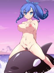 Rule 34 | 1girl, animal, blue eyes, blue hair, bouncing breasts, breasts, censored, drill hair, large breasts, legs, long hair, navel, nightmare express, nipples, nude, ocean, orca, ponytail, pubic hair, pussy, shimano natsume, sitting, sky, smile, thighs, umi monogatari, warin, water