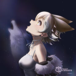 Rule 34 | 1girl, animal ears, bare shoulders, beleven, blonde hair, camisole, coyote (kemono friends), extra ears, highres, jacket, kemono friends, kemono friends v project, microphone, night, night sky, open mouth, short hair, sky, star (sky), starry sky, upper body, virtual youtuber, wolf, wolf ears, wolf girl, yellow eyes