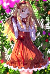 Rule 34 | 10s, 1girl, arms behind back, blonde hair, blush, bow, brown eyes, casual, collared shirt, commentary request, cowboy shot, dress, drill hair, elf, embarrassed, eromanga sensei, fence, flower, frilled sleeves, frills, hair bow, twirling hair, hairband, highres, lens flare, lolita fashion, long hair, long sleeves, looking at viewer, outdoors, plant, pointy ears, red dress, ribbed dress, ribbed shirt, shirt, sidelocks, solo, swordsouls, wavy mouth, white shirt, yamada elf