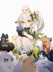 Rule 34 | 1girl, :d, absurdres, animal, bare shoulders, blurry, blurry foreground, cat day, child, commentary request, detached sleeves, dress, full body, genshin impact, gradient hair, green eyes, green hair, green sleeves, hair ornament, highres, holding, holding animal, leaf hair ornament, long hair, looking at animal, multicolored hair, nahida (genshin impact), open mouth, partial commentary, side ponytail, simple background, smile, solo, squatting, stirrup footwear, toeless footwear, white background, white dress, white footwear, white hair, yurayura (mdeh5447)