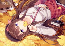 Rule 34 | 1girl, bag, belt, belt buckle, black belt, breasts, brown hair, brown pantyhose, buckle, camera, character request, commentary request, copyright name, frilled skirt, frills, fringe trim, ginkgo tree, ginkgo leaf, grey jacket, hair between eyes, hand up, hitsuki rei, holding, holding leaf, jacket, jewelry, leaf, long hair, long sleeves, looking at viewer, medium breasts, orange scarf, pantyhose, pendant, plaid, plaid skirt, purple eyes, red skirt, scarf, shoulder bag, skirt, sleeves past wrists, snowdreams -lost in winter-, solo, very long hair