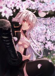 Rule 34 | 1girl, black jacket, black skirt, black thighhighs, branch, breasts, closed mouth, commentary request, day, flower, grey hair, hair between eyes, highres, jacket, katana, looking at viewer, medium breasts, murasame shia, open clothes, open jacket, original, outdoors, petals, pink flower, pleated skirt, red eyes, sarashi, skirt, smile, solo, sword, thighhighs, tree, weapon