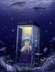 Rule 34 | 1girl, blue hair, bubble, dress, fish, floating, floating hair, highres, humpback whale, l-tao, long hair, manta ray, notebook, original, paper, pen, phone, phone booth, shark, solo, stool, surreal, underwater, whale, white dress