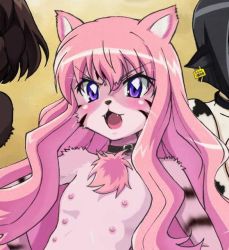Rule 34 | 00s, animal ears, artist request, breasts, cat ears, collar, furry, louise francoise le blanc de la valliere, nude, pink hair, third-party edit, zero no tsukaima
