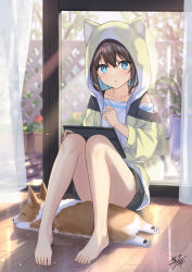 Rule 34 | 1girl, :o, animal, animal ears, animal hood, bare legs, barefoot, black shorts, blue eyes, blue hair, brown hair, brown jacket, collarbone, commentary request, curtains, day, dog, fake animal ears, highres, hood, hood up, hooded jacket, jacket, knees up, looking at viewer, miko fly, multicolored hair, on floor, original, parted lips, ribbon-trimmed shorts, ribbon trim, shirt, short shorts, shorts, signature, sitting, solo, tablet pc, transparent, two-tone hair, white shirt, window, wooden floor