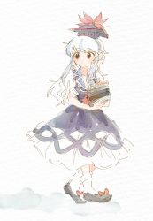 Rule 34 | 1girl, ankle socks, black footwear, blue dress, blue hair, book, book stack, bow, closed mouth, dress, flats, footwear bow, full body, hand up, hat, holding, holding book, itomugi-kun, kamishirasawa keine, light blue hair, light frown, long dress, long hair, looking away, neckerchief, pale color, puffy short sleeves, puffy sleeves, raised eyebrow, red bow, red eyes, red neckerchief, shoes, short sleeves, simple background, socks, solo, standing, tareme, tokin hat, touhou, white background, white socks
