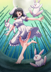 Rule 34 | 1girl, alternate color, animal ears, bamboo, bamboo forest, barefoot, black hair, blush, breasts, bright pupils, brown eyes, carrot necklace, commentary request, dress, fisheye, floppy ears, forest, frilled sleeves, frills, full body, grass, hair between eyes, highres, inaba tewi, jewelry, looking afar, looking to the side, nature, necklace, open mouth, qcezssxx123, rabbit, rabbit ears, rabbit girl, ribbon-trimmed dress, running, short hair, small breasts, smile, solo, teeth, touhou, twitter username, upper teeth only, white dress, white pupils