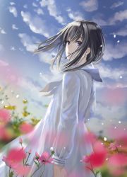 Rule 34 | 1girl, black hair, blue sky, closed mouth, cloud, cloudy sky, commentary request, day, dress, flower, highres, long sleeves, looking at viewer, looking to the side, naruse chisato, original, outdoors, pink flower, puffy long sleeves, puffy sleeves, purple eyes, sailor collar, sailor dress, school uniform, serafuku, sky, solo, white dress, white sailor collar, white serafuku