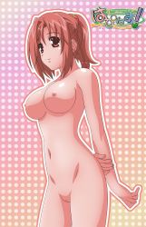 Rule 34 | 00s, 1girl, artist request, braid, breasts, brown eyes, brown hair, cleft of venus, female focus, hair ribbon, happiness!, highres, kamisaka haruhi, large breasts, navel, nipples, nude, ponytail, pussy, ribbon, smile, solo, thighs, uncensored