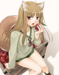 Rule 34 | 00s, 1girl, animal ears, apple, bottomless, brown hair, food, fruit, holding, holding food, holding fruit, holo, long hair, nakajima yuka, red eyes, solo, spice and wolf, tail, wolf ears, wolf tail