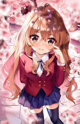 Rule 34 | 1girl, aisaka taiga, black thighhighs, blazer, blue skirt, brown eyes, brown hair, cherry blossoms, commentary, feet out of frame, hand up, highres, jacket, long hair, long sleeves, looking at viewer, miniskirt, red jacket, skirt, solo, squchan, standing, thighhighs, toradora!, very long hair, zettai ryouiki