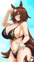 Rule 34 | 1girl, absurdres, alternate costume, animal ears, bare shoulders, bikini, black bikini, blue sky, bottle, breasts, brown hair, commentary request, cowboy shot, day, ear ornament, grin, hair between eyes, highres, holding, holding bottle, horse ears, horse girl, horse tail, large breasts, long hair, looking at viewer, multicolored hair, outdoors, red eyes, revealing clothes, sirius symboli (umamusume), sky, smile, solo, streaked hair, swimsuit, tail, tessa (uma orfevre), umamusume, very long hair, white hair